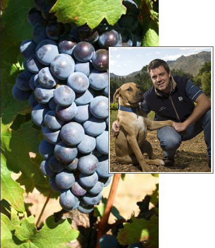 LaVIGNE Winemaker